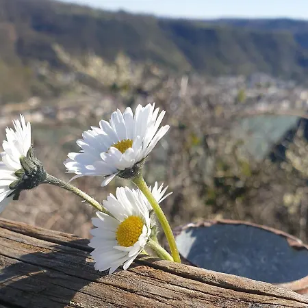 Rheingold * Hirzenach