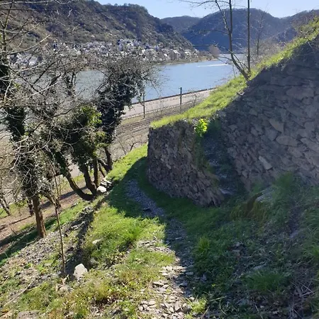 Rheingold Apartman Hirzenach