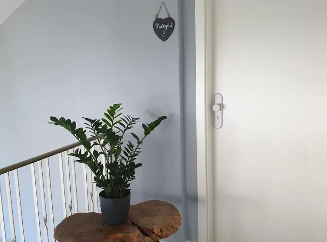 Διαμέρισμα Rheingold